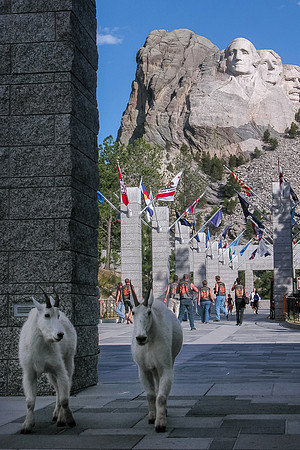 Mount Rushmore-0009