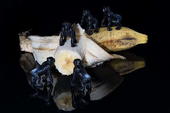 Going Bananas