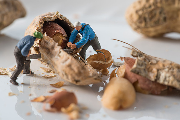 Working for Peanuts