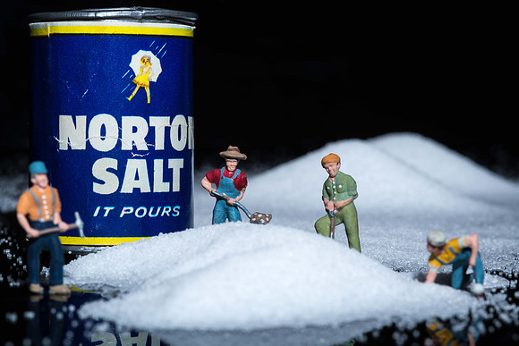 Salt of the Earth