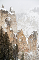 Grand Canyon of Yellowstone