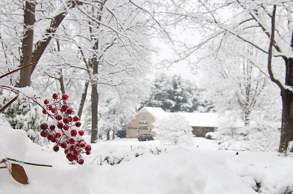 Snow 2010