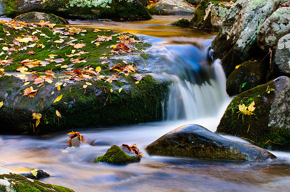 Landscape-011